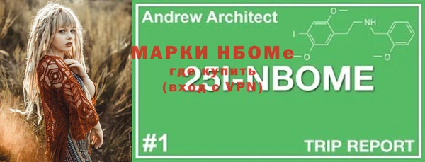 МДПВ Верхний Тагил