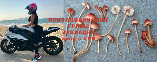 МДПВ Верхний Тагил