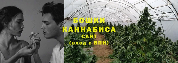 МДПВ Верхний Тагил