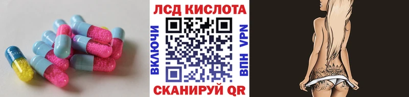 LSD-25 экстази кислота  Купить где  Пустошка 